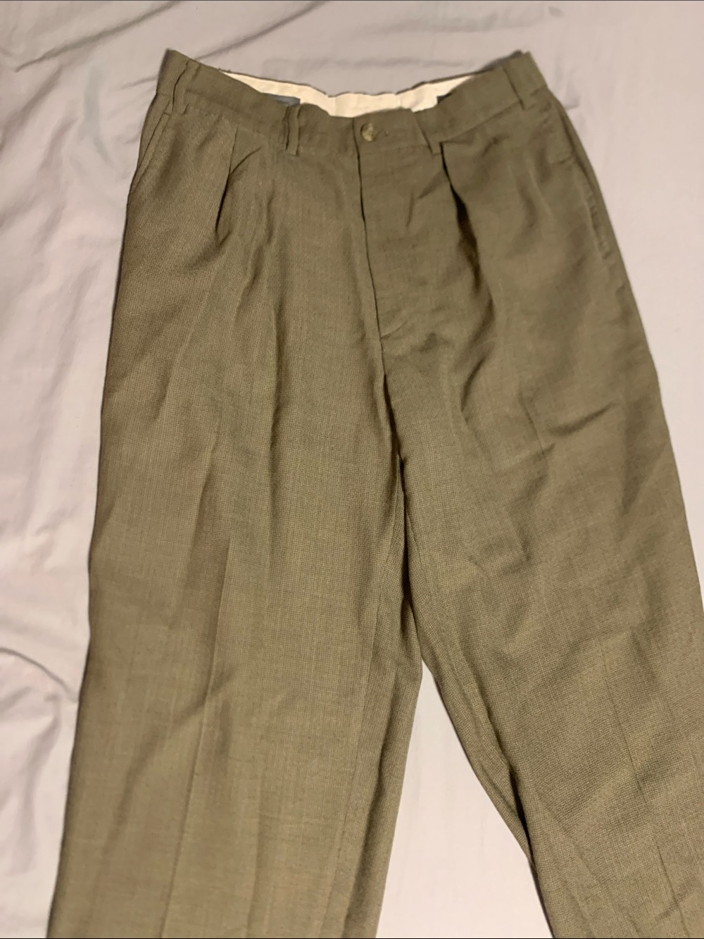 Classic Pleated Dress Pants in Olive Green